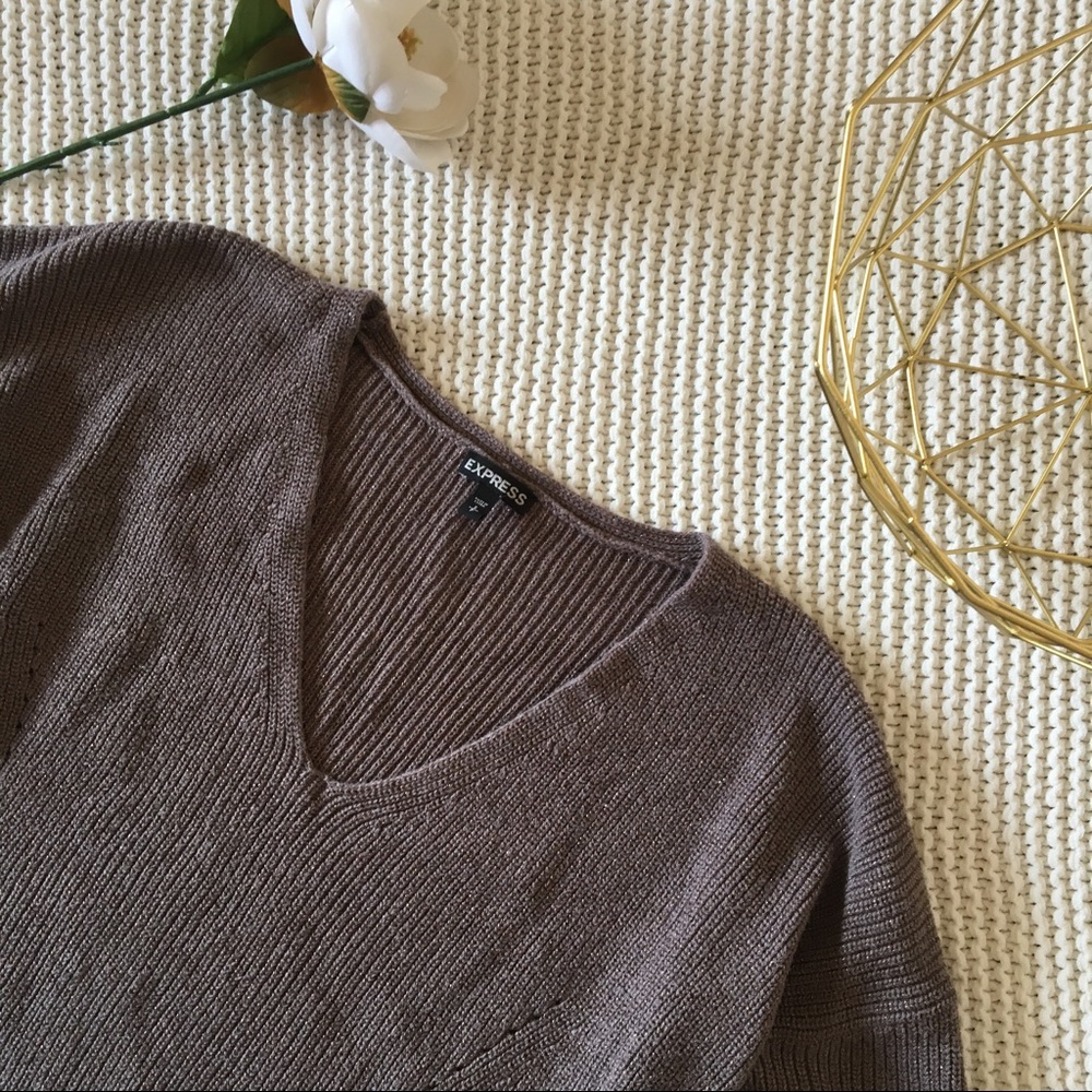 Express Brown V-Neck Sweater